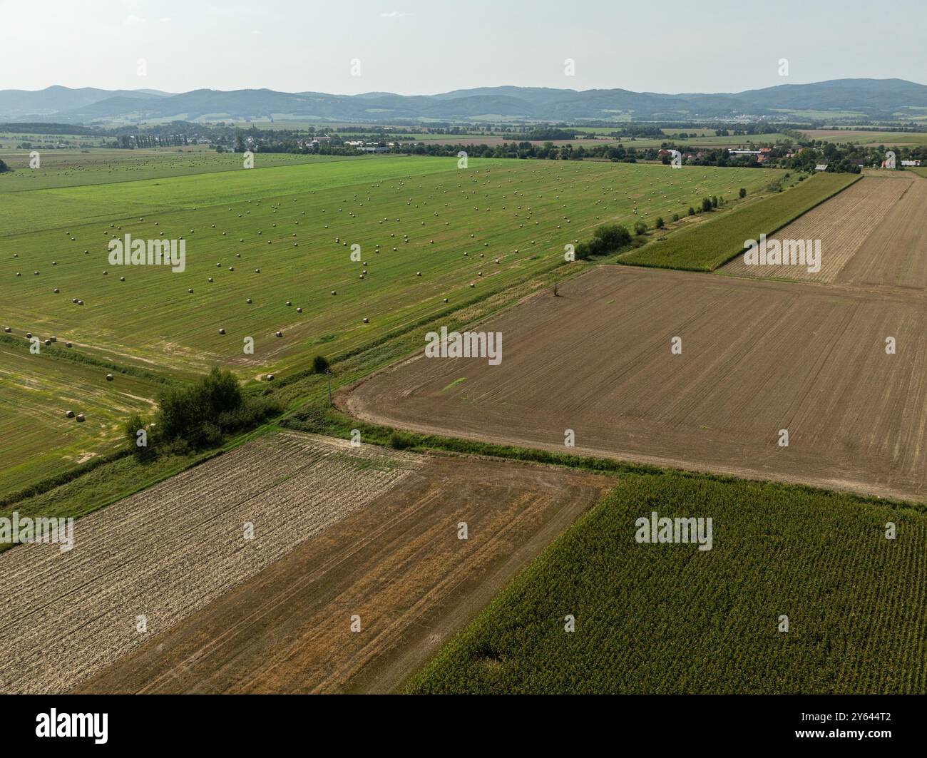 Champ vert dans la campagne en été plein de balles de paille dans la province d'Opole en Pologne. Vue aérienne du paysage du champ d'été avec du foin sec Banque D'Images