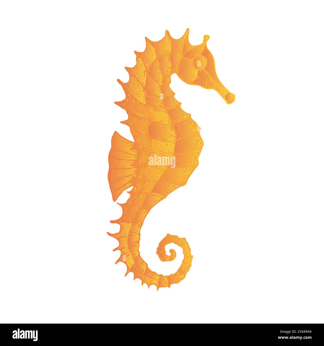 Hippocampe vecteur. Ligne peinte à la main Clip art tropical graphique isolé sur fond. Illustration sous-marine. Pour les designers, invitations Illustration de Vecteur