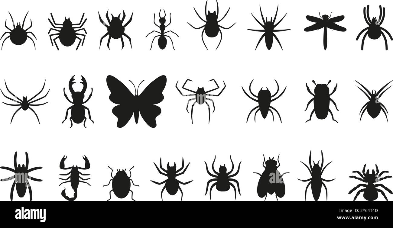 Icônes d'insectes noirs. Différentes silhouettes d'insectes, bourgeons araignées papillon libellule scorpion tarentule. Éléments de la nature, vecteur néotérique saisonnier Illustration de Vecteur