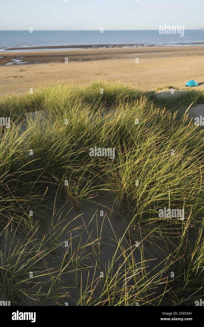 Angleterre, Kent et East Sussex, Camber Sands Banque D'Images