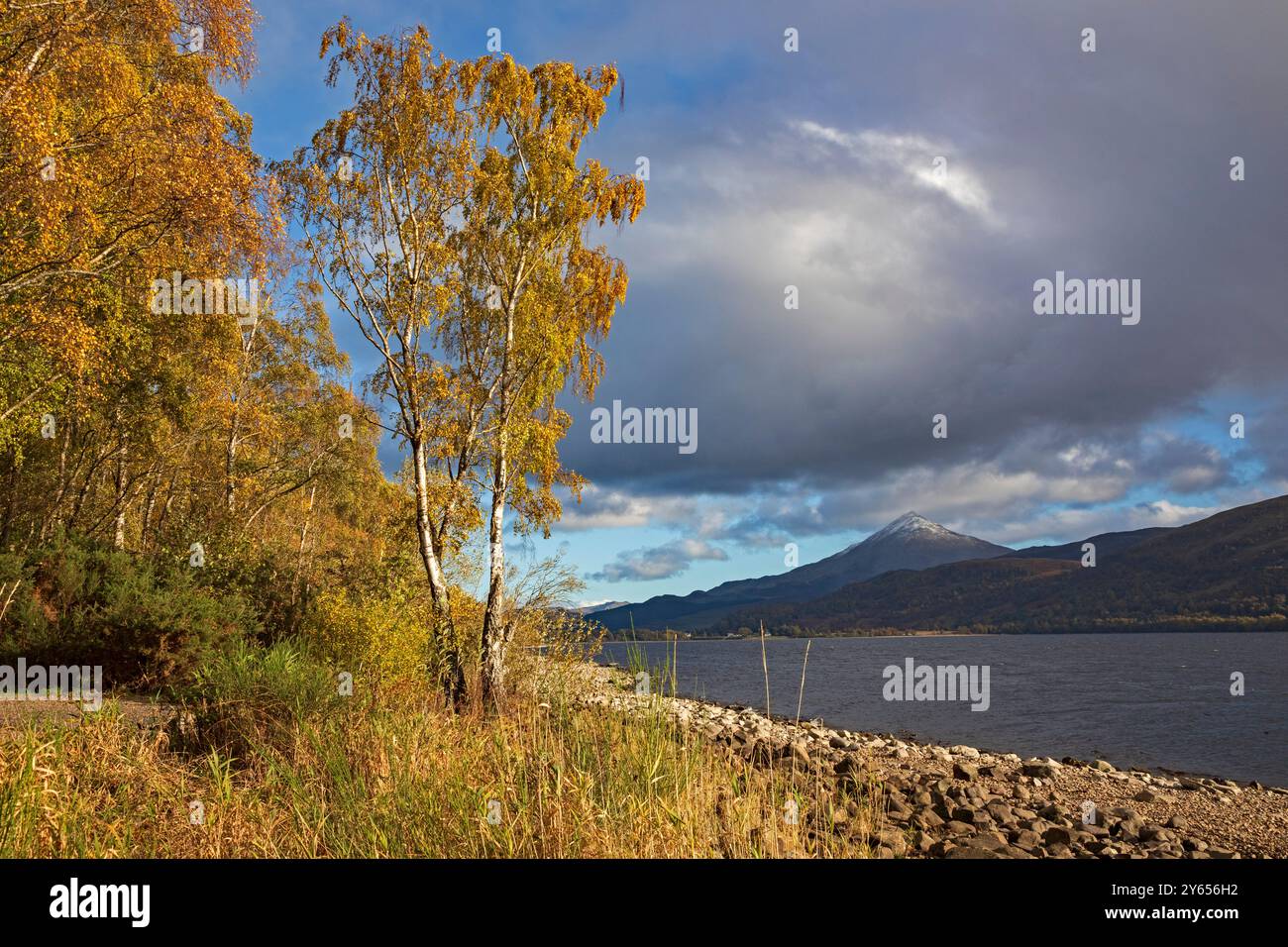 Schiehallion, montagne, montagnes Grampian, Loch Rannoch, région de Breadalbane des Highlands écossais, Perthshire, Écosse, Royaume-Uni Banque D'Images