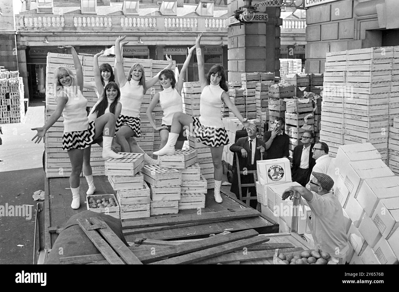 Vous ne voyez pas de porteurs comme ceux-là au marché de Covent Garden tous les jours. Mais les Beat Girls , du Dance Centre de Londres, près de Covent Garden, étaient tellement ravies de la nouvelle qu'elles s'envolent pour Venise pour soutenir les entrées au Festival du film de Venise qu'elles ont senti qu'elles devaient jeter quelques boîtes pour se dégonfler. - - Sur la photo faisant exactement cela aujourd'hui sont Felicity Colby (les mains sur les genoux ) ; puis de gauche à droite Babs Lord , Diane South , Lorelly Harris , Dee Dee Wilde et Penny Fergusson - - 5 septembre 1966 Banque D'Images