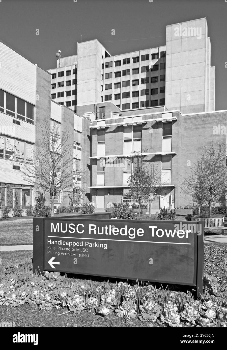 Tour Rutledge à l'Université médicale de Caroline du Sud (MUSC) à Charleston, SC, États-Unis. Concept des services de santé et de l'enseignement médical. Banque D'Images