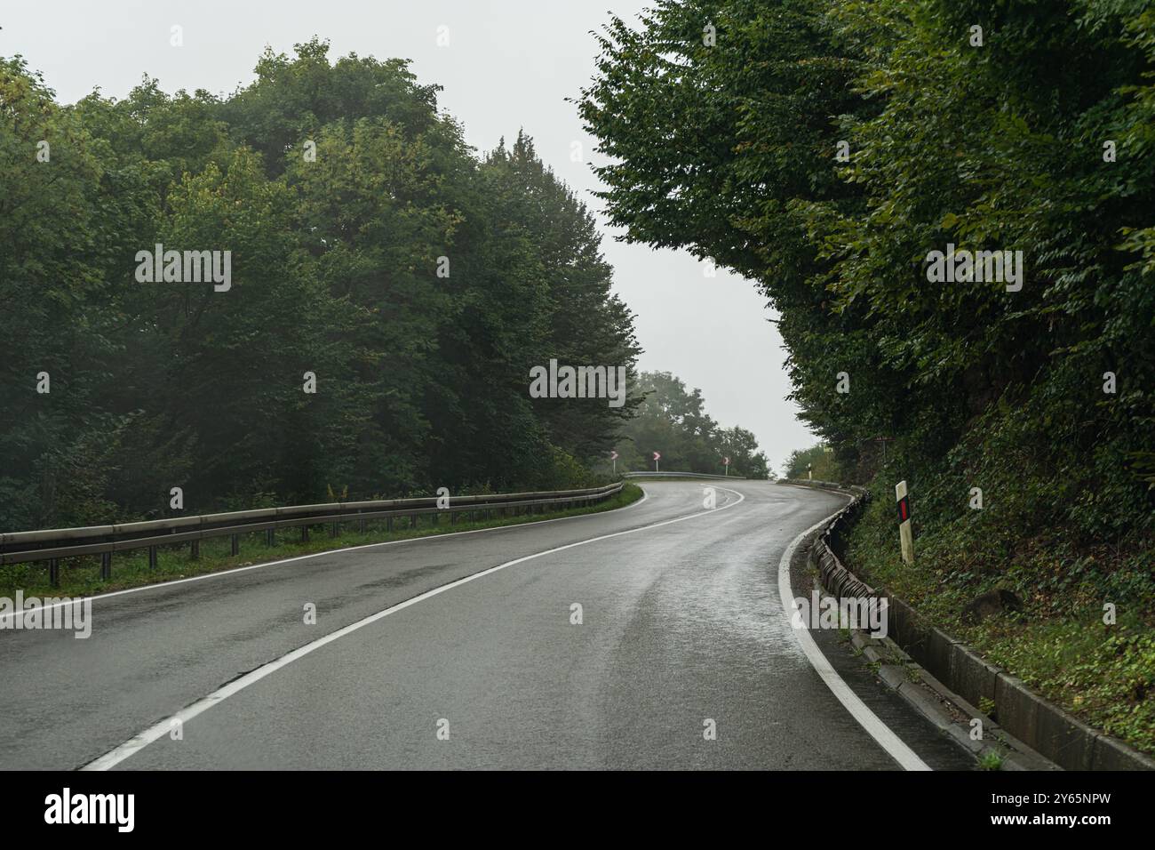 Une vue sereine d'une route sinueuse enveloppée de forêts denses dans la Géorgie rurale, mettant en valeur le paysage brumeux et luxuriant typique de la région Banque D'Images