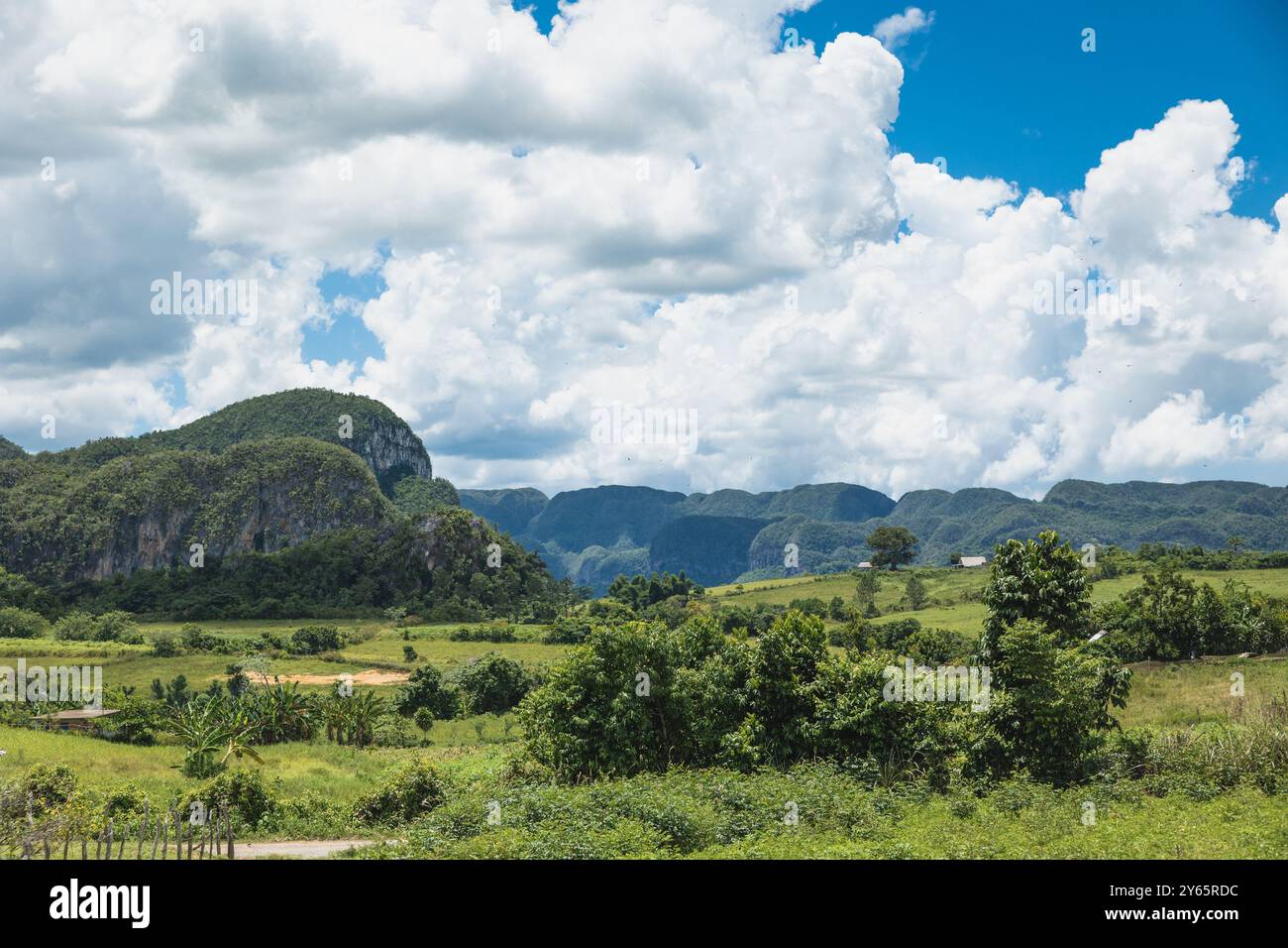 Vue panoramique sur la luxuriante vallée de Vinales avec les collines de mogote sous un ciel bleu avec des nuages moelleux, à Pinar del Rio, Cuba. Banque D'Images