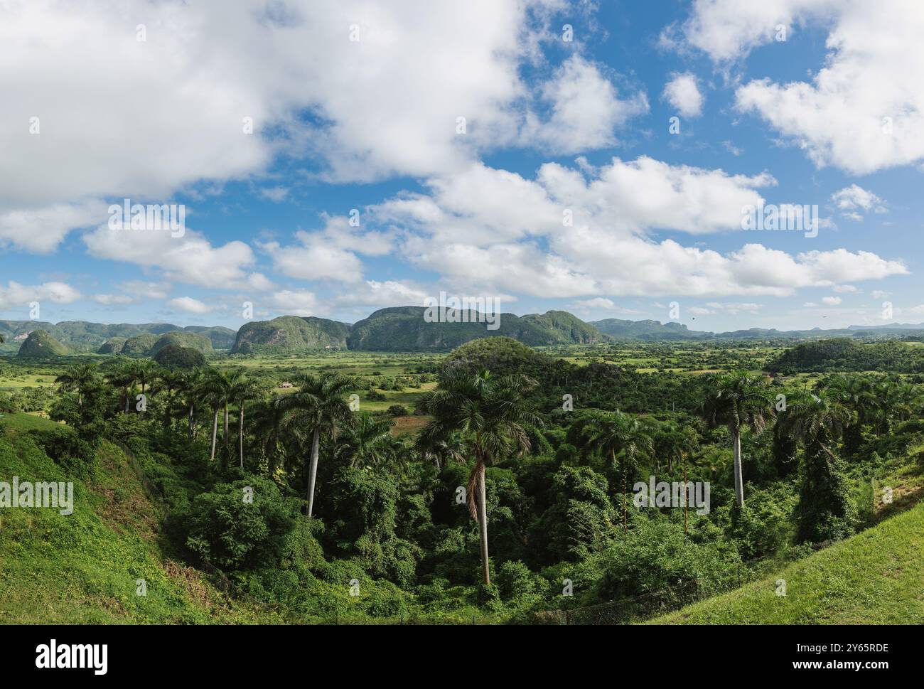 Vaste paysage montrant la luxuriante vallée de Vinales et ses mogotes sous le ciel bleu avec des nuages à Pinar del Rio, Cuba. Banque D'Images