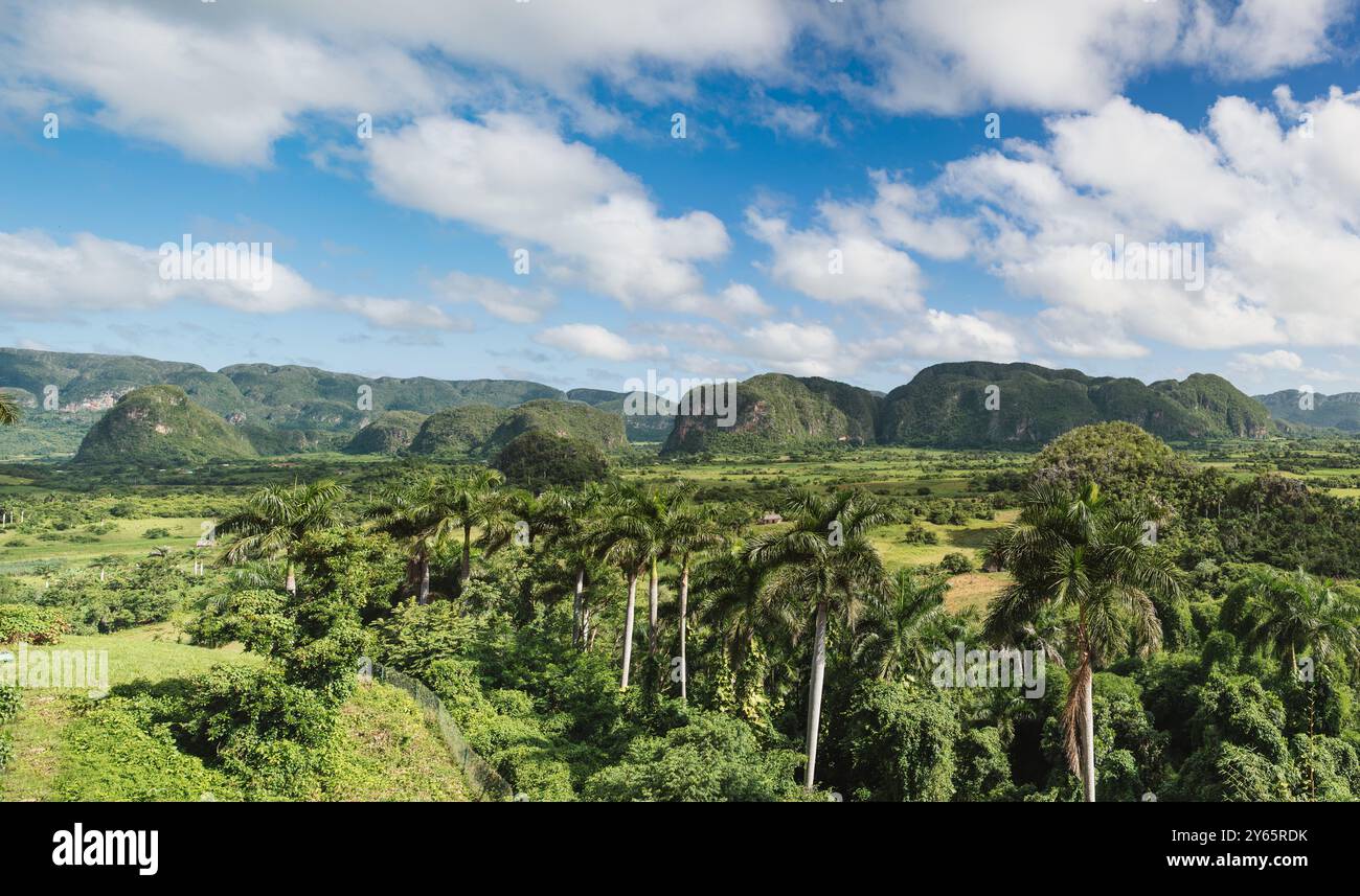 Paysage luxuriant de la vallée de Vinales avec une verdure vibrante et des collines ondulantes sous un ciel bleu parsemé de nuages à Pinar del Rio, Cuba. Banque D'Images