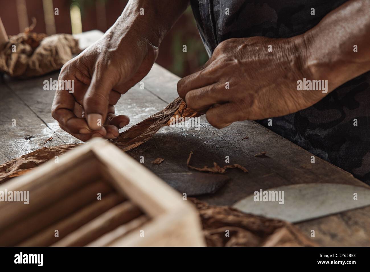 Vue rapprochée de mains fabriquant méticuleusement un cigare cubain dans une usine rustique de Vinales, montrant l'art habile de rouler le cigare avec du tabac local Banque D'Images Vue rapprochée de mains fabriquant méticuleusement un cigare cubain dans une usine rustique de Vinales, montrant l'art habile de rouler le cigare avec du tabac local Banque D'Images