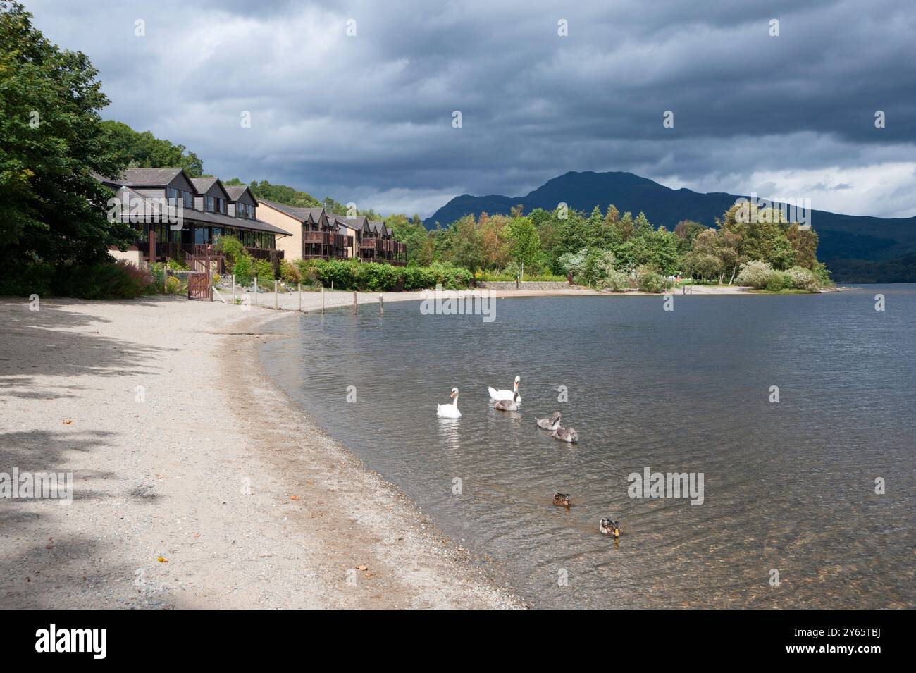 Soleil de fin d'été sur la baie au village de Luss sur les rives du loch Lomond. Banque D'Images