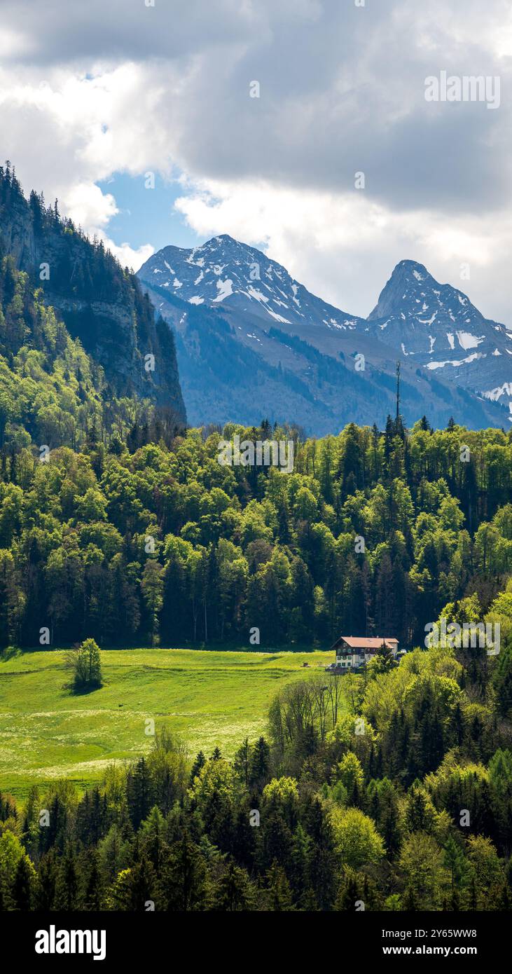 Des prairies verdoyantes et des forêts denses mènent aux sommets escarpés des Alpes suisses à Jaun, en Suisse, mettant en valeur la beauté vibrante d'une journée d'été Banque D'Images