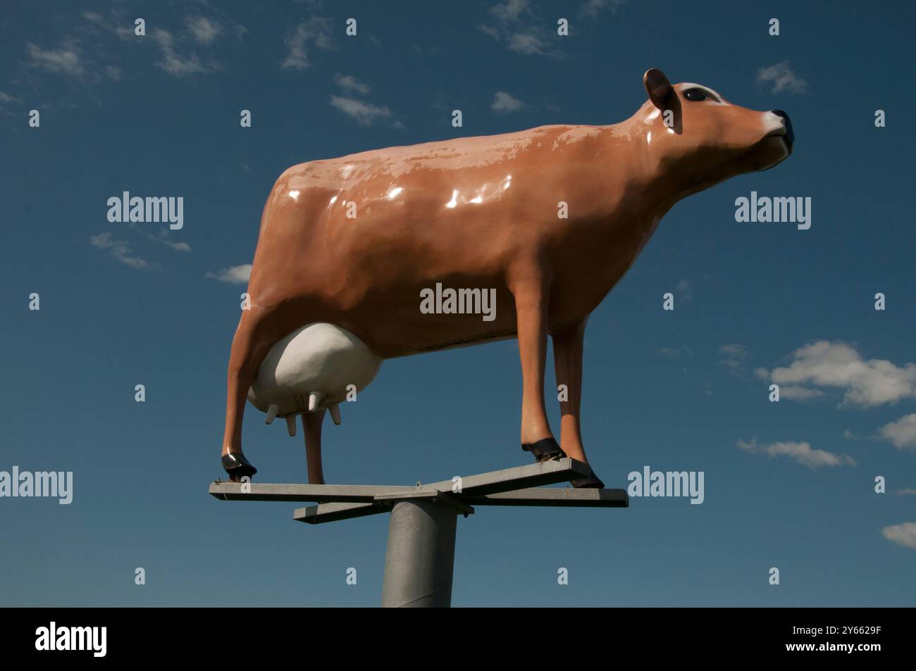 La vache laitière géante de Caldermeade Farm Gate, sur la South Gippsland Highway, dans le Victoria, perpétue la tradition des « grandes choses » kitschy dans toute l'Australie rurale Banque D'Images