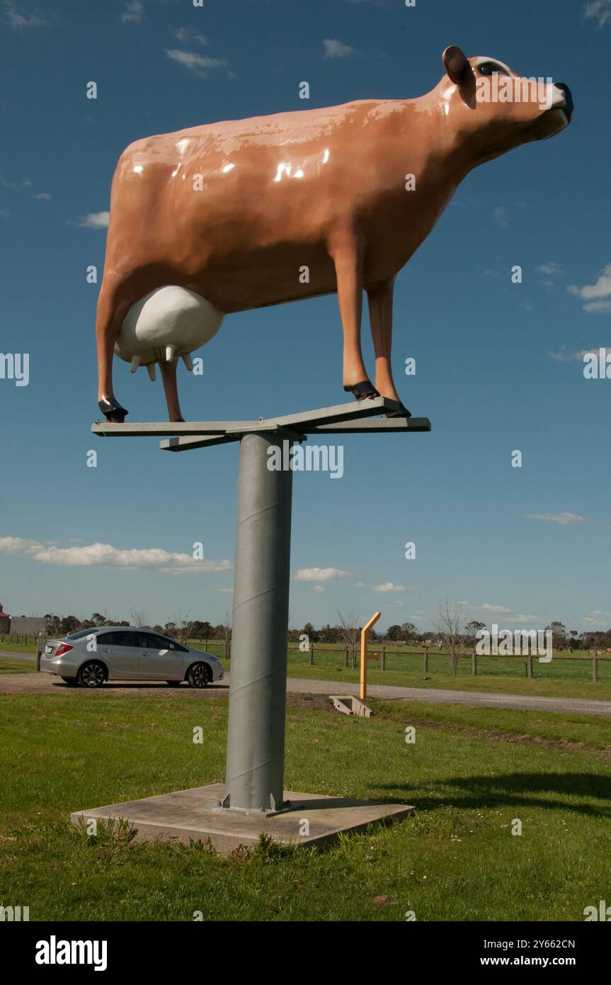 La vache laitière géante de Caldermeade Farm Gate, sur la South Gippsland Highway, dans le Victoria, perpétue la tradition des « grandes choses » kitschy dans toute l'Australie rurale Banque D'Images