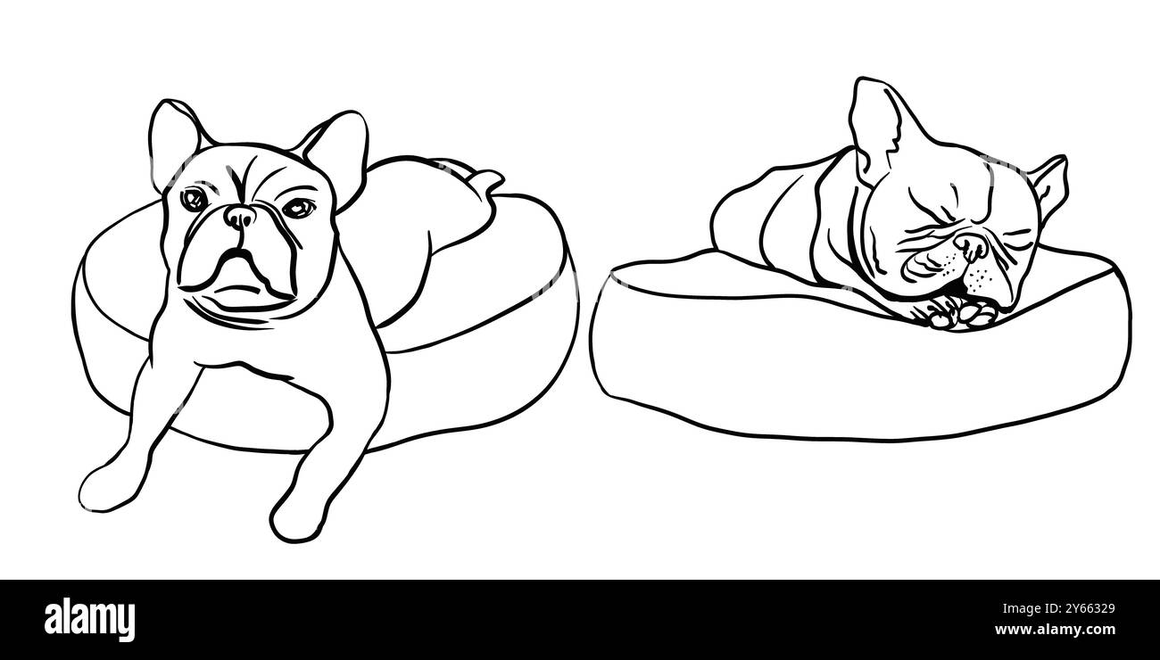 Deux bouledogues français gisent sur des oreillers. museau plat. Regarde vers l'avant, les oreilles levées. Croquis noir et blanc. dessiné avec une ligne Banque D'Images