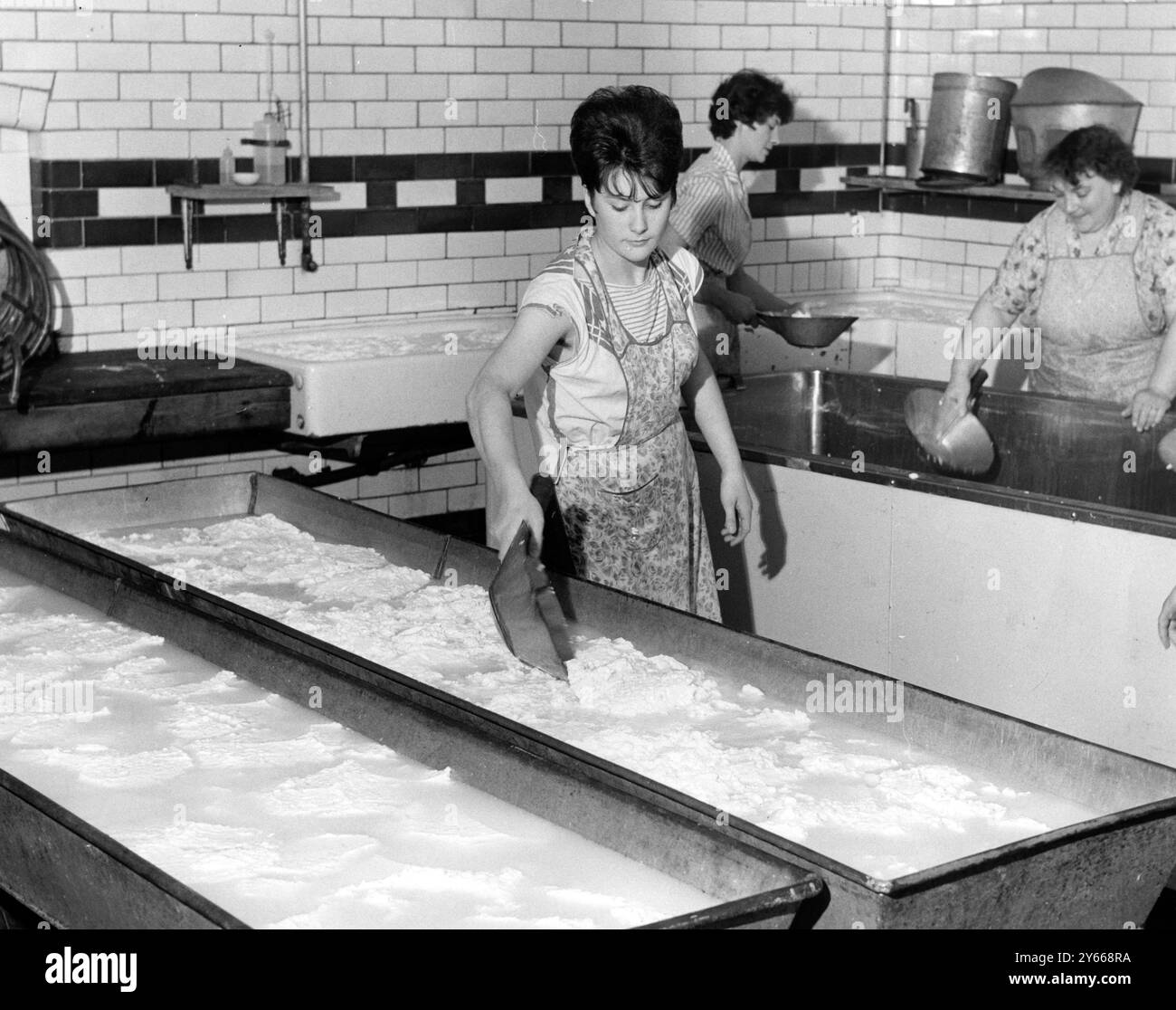 Colston Bassett and District Dairies Ltd fabrication de fromage - usine de fromage Stilton près de Newark , Notts le caillé dans un creux 17 septembre 1962 Banque D'Images