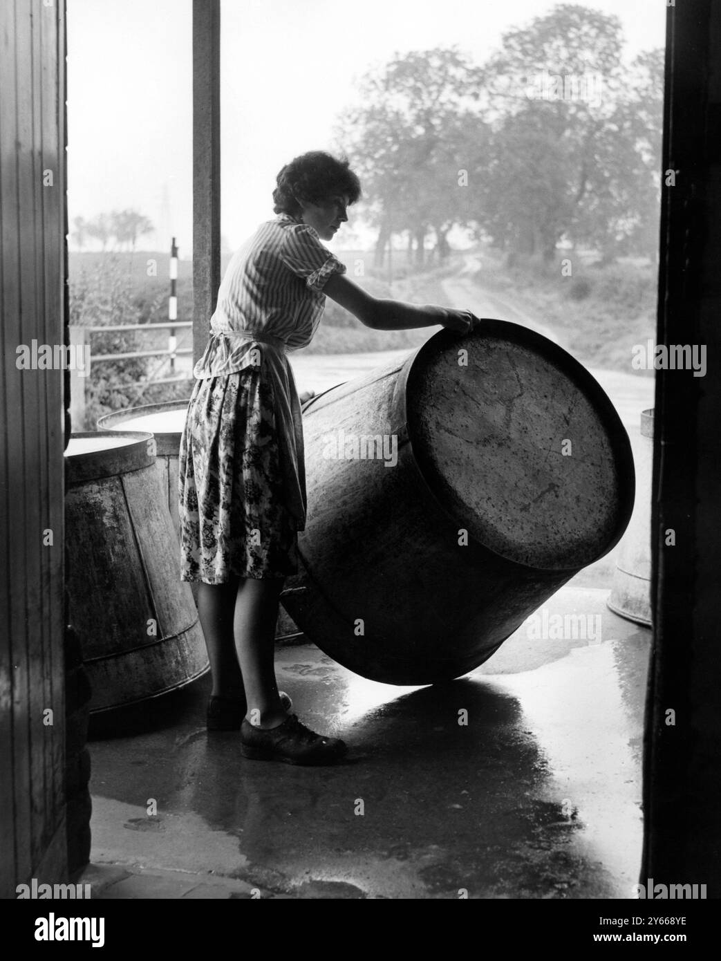 Colston Bassett and District Dairies Ltd fabrication de fromage - usine de fromage Stilton près de Newark , Notts nettoyage des cuves 17 septembre 1962 Banque D'Images