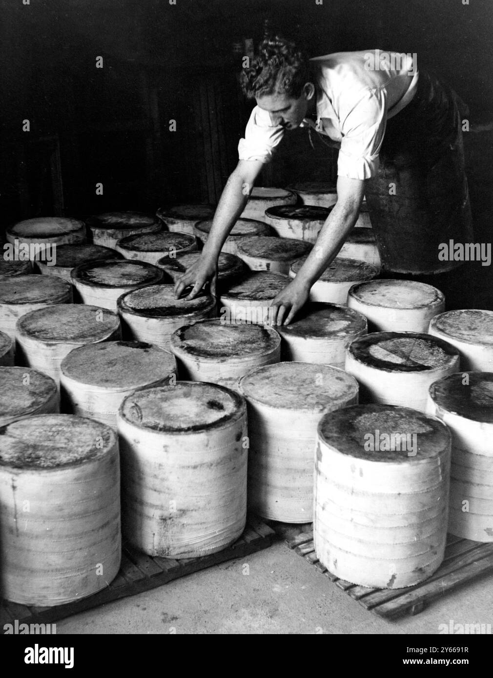 Avec l'exode de milliers de militaires des îles Orcades, les habitants qui cultivent ont été confrontés à la perspective d'avoir plusieurs milliers de litres de lait sur les mains , et nulle part où l'envoyer . Le ministère de l'alimentation vient donc de reprendre l'ancien quartier général des opérations de la RAF à Kirkwell , et il a été transformé en fromagerie . Bien que cette entreprise soit moins rentable que la vente de lait liquide, elle économise de la nourriture , et il n'y a pas de proposition pratique pour acheminer du lait liquide vers les villes continentales d'Écosse , à moins que le transport aérien ne devienne moins cher . Leur dail Banque D'Images