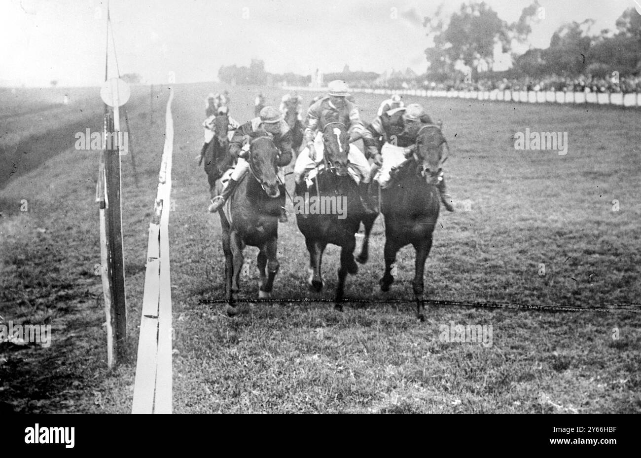 Triple Dead Heat dans l'Auckland Park Horse Race à Johannesburg (Afrique du Sud) Sir Abe Bailey's Bondman (à droite) a remporté la course en 1923 Banque D'Images