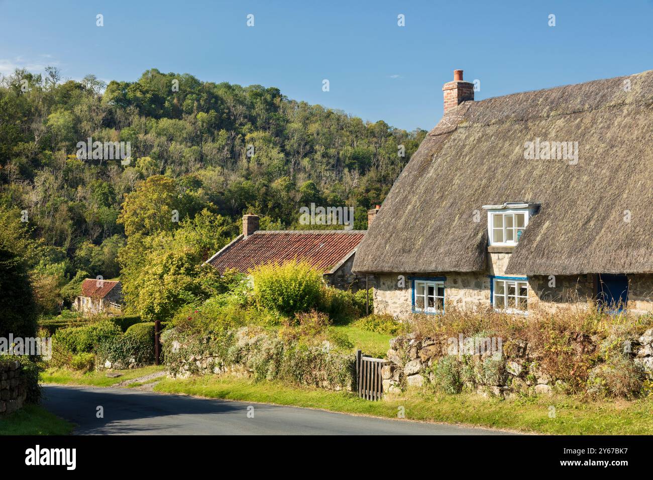Chalet au toit de chaume dans le village de landes de Rievaulx, les North Yorkshire Moors, Angleterre Banque D'Images