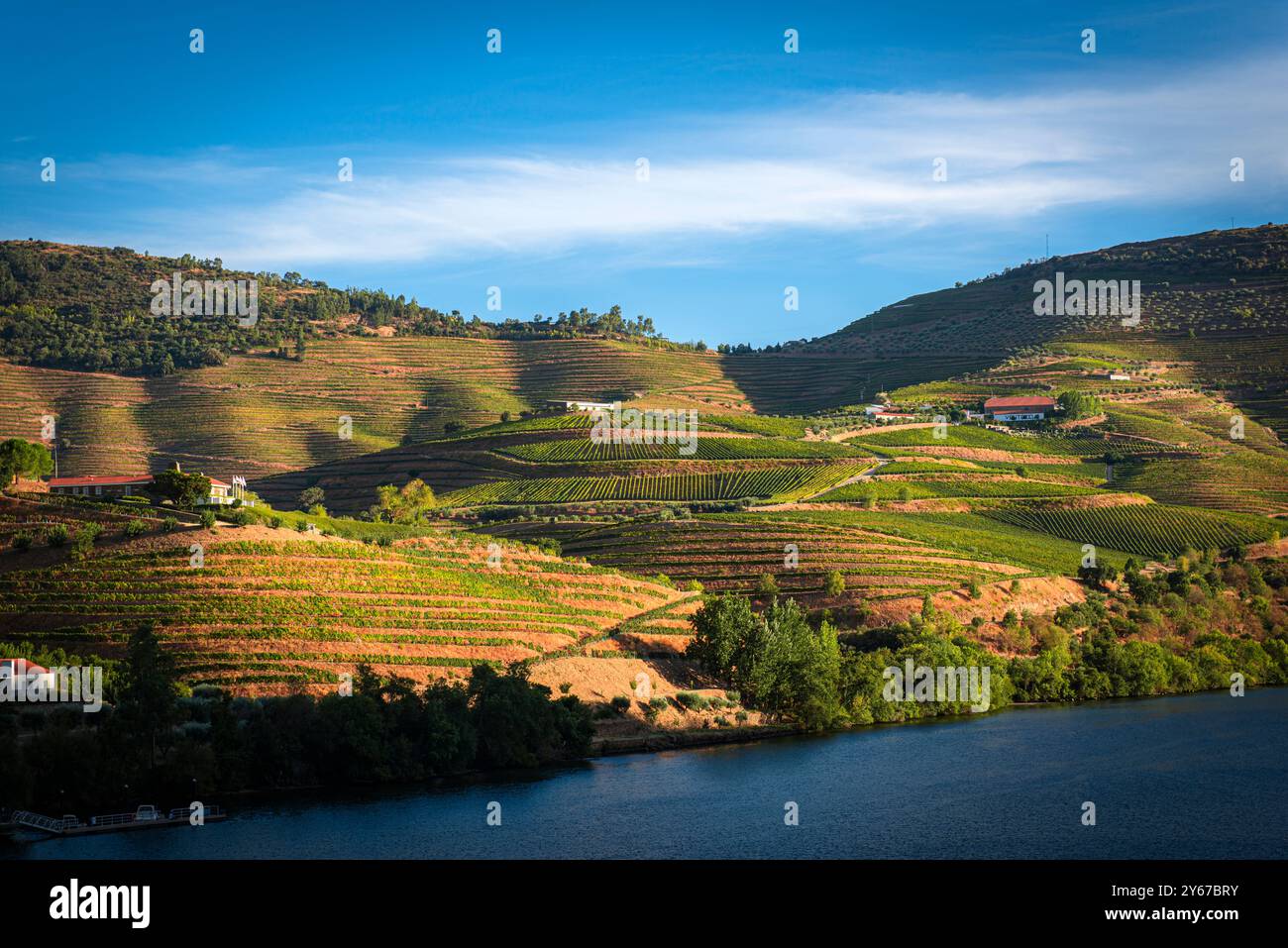 Hôtel Ventozelo et Quinta, bâtiment à droite du cadre, vu du train, à travers le Douro, entre Tua et Pinhao, fin d'après-midi, vallée du Douro, Portugal Banque D'Images