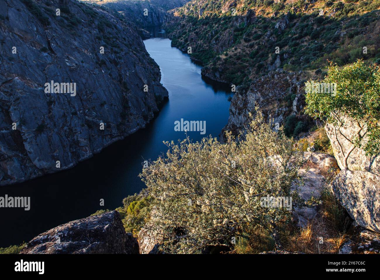Lumière tôt le matin, vue sur le haut Douro depuis Castrilhouço Viewpoint (Miradouro do Castrilhouço) près de Miranda do Douro, nord du Portugal Banque D'Images