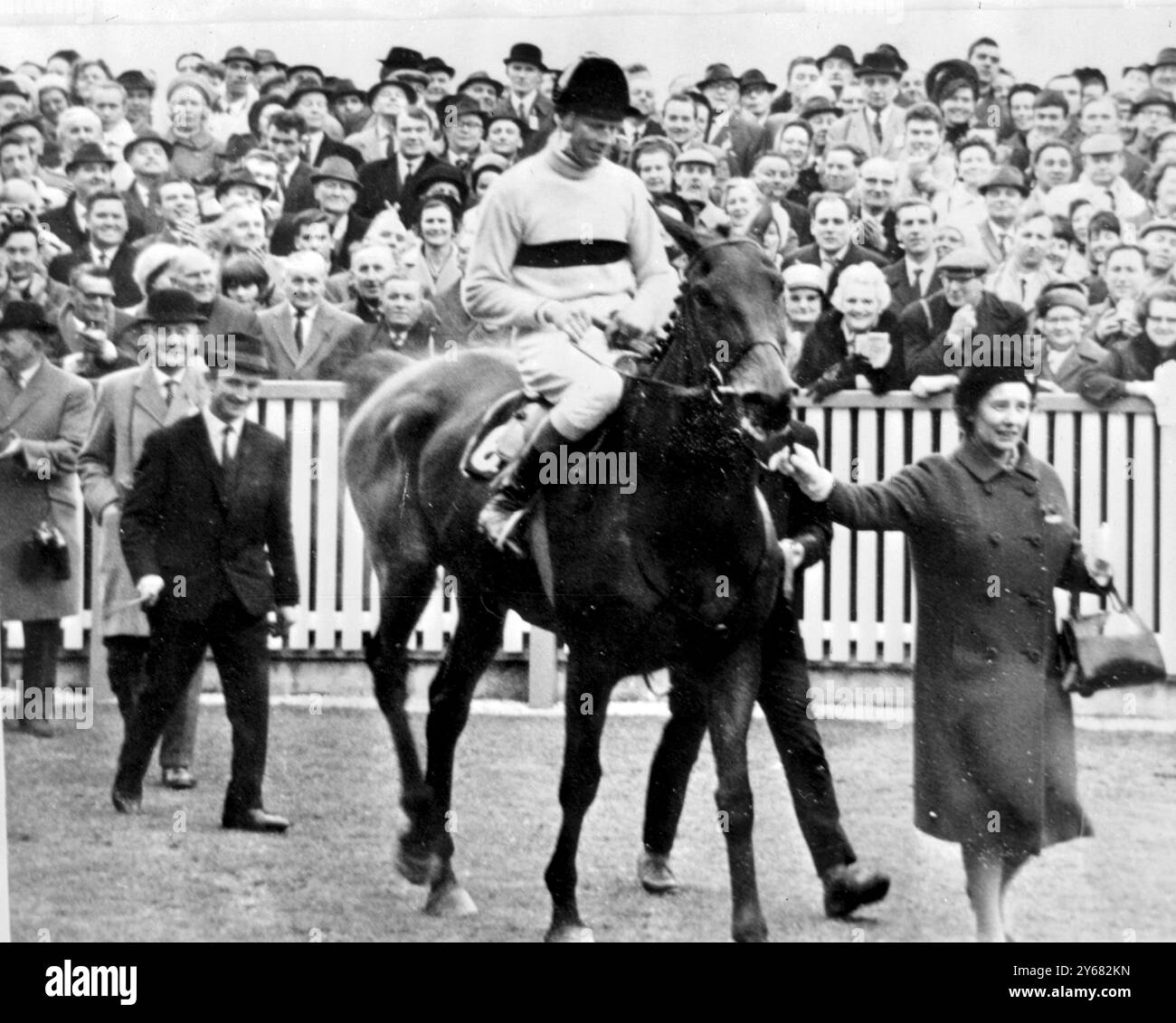 Après avoir remporté la Cheltenham Gold Cup, Arkle, les Irish Wonder Hores, avec Pat Taaffe à bord, est conduit dans l'enclos. Le conduisant est la propriétaire Anne Dushess de Westminster. L'homme au chapeau melon est l'entraîneur d'Arkle, M. T.W. Dreaper. 17 mars 1966 Banque D'Images