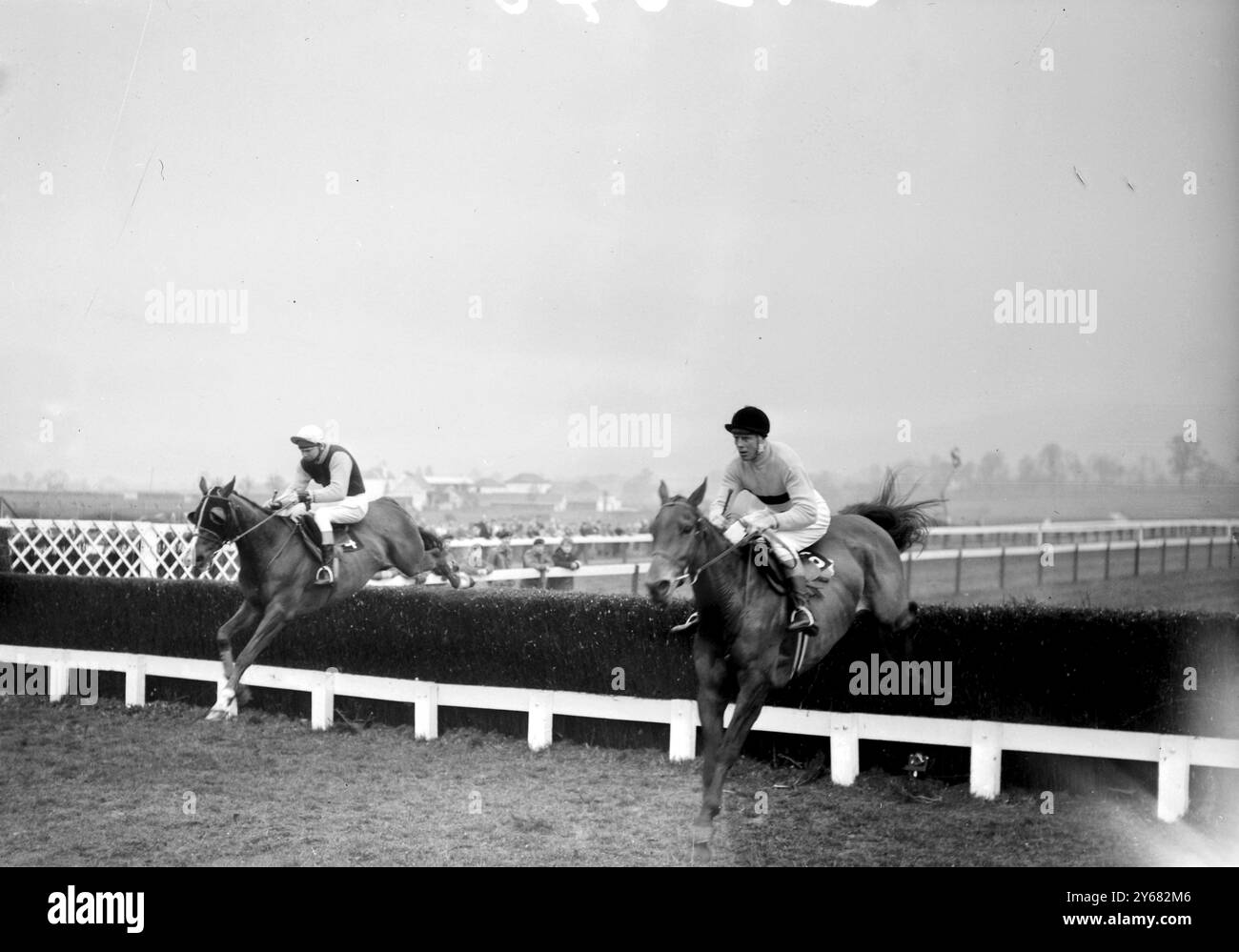 Arkle, monté par Pat Taaffe, est photographié frappant cette clôture durement et presque tombant. Mais le cheval phénoménal a répondu à la prédiction de presque tout le monde en remportant la Cheltenham Gold Cup le troisième jour de la rencontre de chasse nationale. Le cheval derrière Arkle est dormant, monté par M. Scudamore, qui est arrivé deuxième, et troisième était Snaigow, monté par D. Nicholson le 17 mars 1966. Banque D'Images