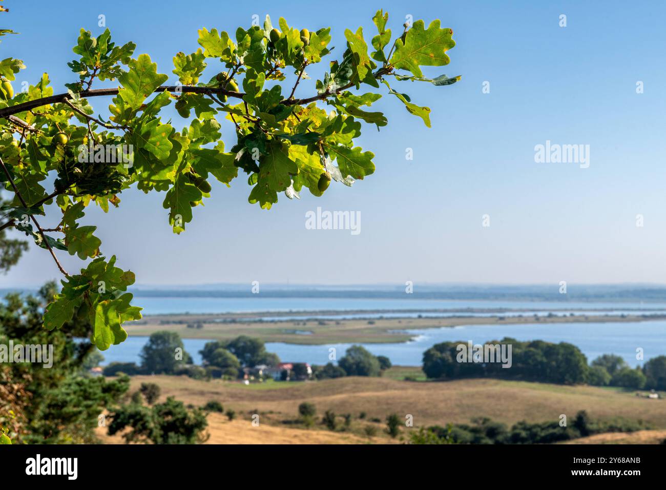 Blick vom Aussichtspunkt Dornbusch auf die Landschaft der Insel Hiddensee in Mecklenburg-Vorpommern, AMT West-Rügen Aussicht Dornbusch *** vue depuis le point de vue Dornbusch sur le paysage de l'île de Hiddensee in Mecklenburg-Vorpommern, AMT West Rügen Aussicht Dornbusch 20240921-DSC 6760 Banque D'Images