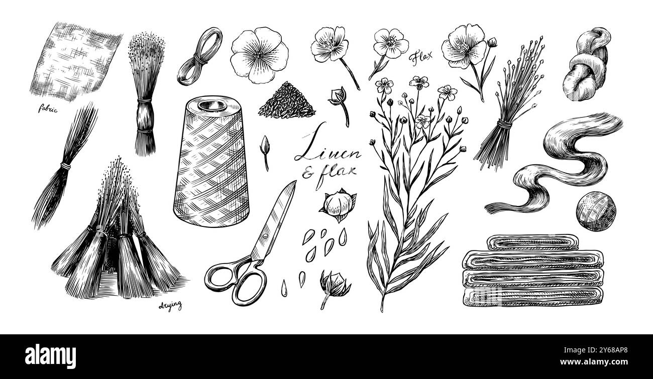 Graines de lin dessinées à la main et fleur de lin. Illustration clipart vectorielle. Esquisse ligne et encre. Style Vintage dessiné à la main. Illustration de Vecteur