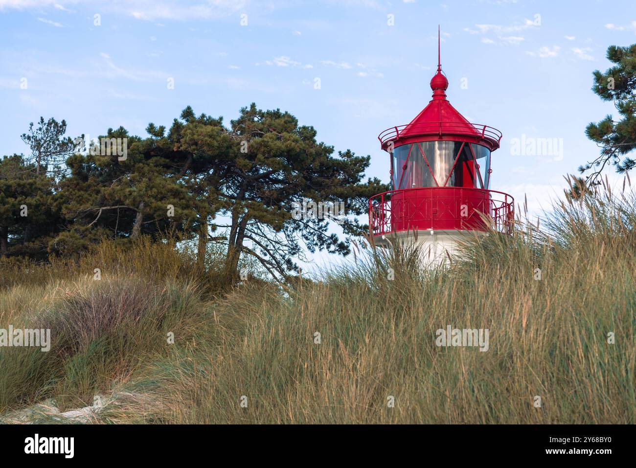 IM Jahre 1905 erbautes Leuchtfeuer/ Leuchtturm Gellen im Süden der Insel Hiddensee in Mecklenburg-Vorpommern, AMT West-Rügen, 12 Meter Hoch,Windflüchter Kiefer Leuchtturm Gellen *** en 1905 construit phare Gellen dans le sud de l'île Hiddensee in Mecklenburg Vorpommern, AMT West Rügen, 12 mètres de hauteur,Windflüchter Kiefer Leuchtturm 20240921-6819-DGSC Banque D'Images