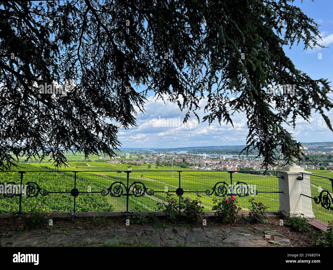 Vom Schloss Johannisberg Hat man einen wunderschoenen Blick auf den Rheingau bis hinueber nach Rheinlandpfalz. De Johannisberg Castle vous avez un Won Banque D'Images