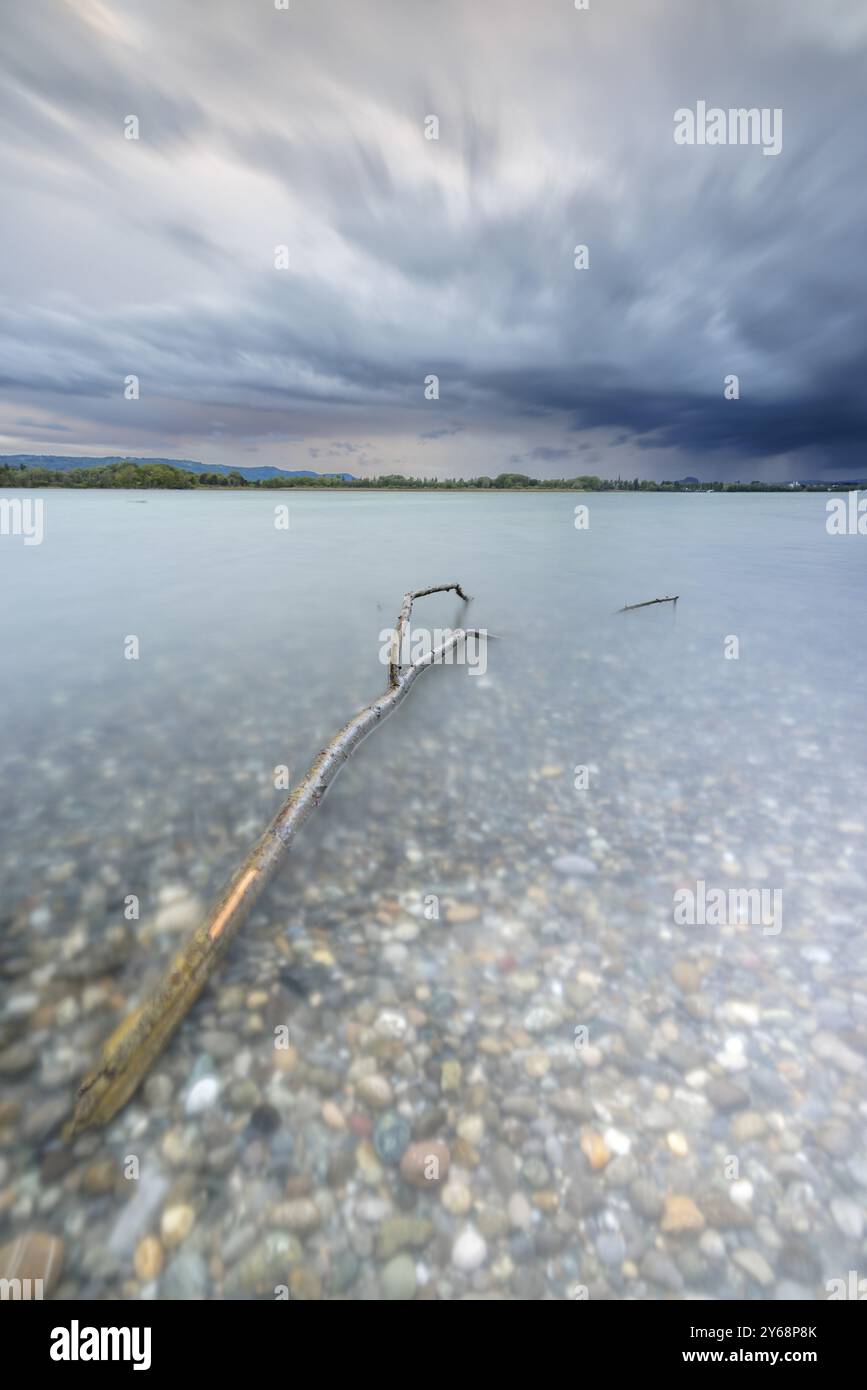 Une branche se trouve sur une plage de galets sous un ciel menaçant devant une tempête, Naturfreundehaus, Markelfingen, Untersee, lac de Constance, Kreis Konstanz Banque D'Images