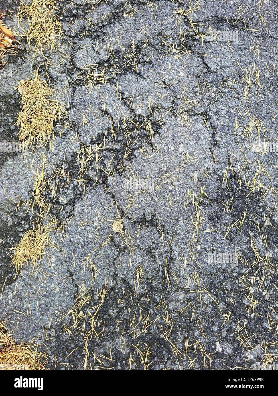 Dommages à la route sur la surface asphaltée. Le tarmac a plusieurs grandes fissures et de petits morceaux se sont écaillés, indiquant l'usure et l'altération Banque D'Images