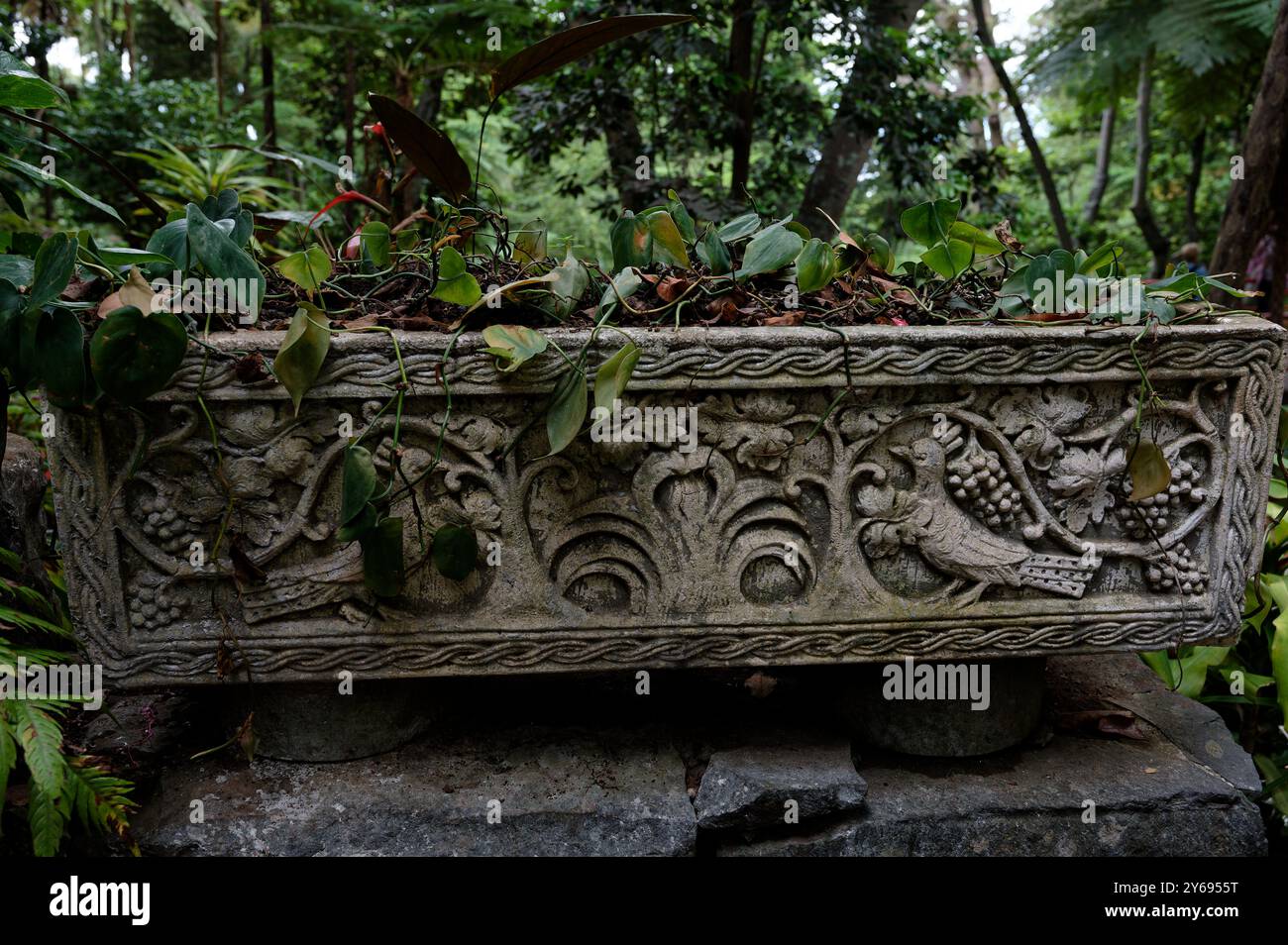 Jardinière en pierre ornée de sculptures complexes d'oiseaux et de feuillage dans les jardins du palais monte Banque D'Images