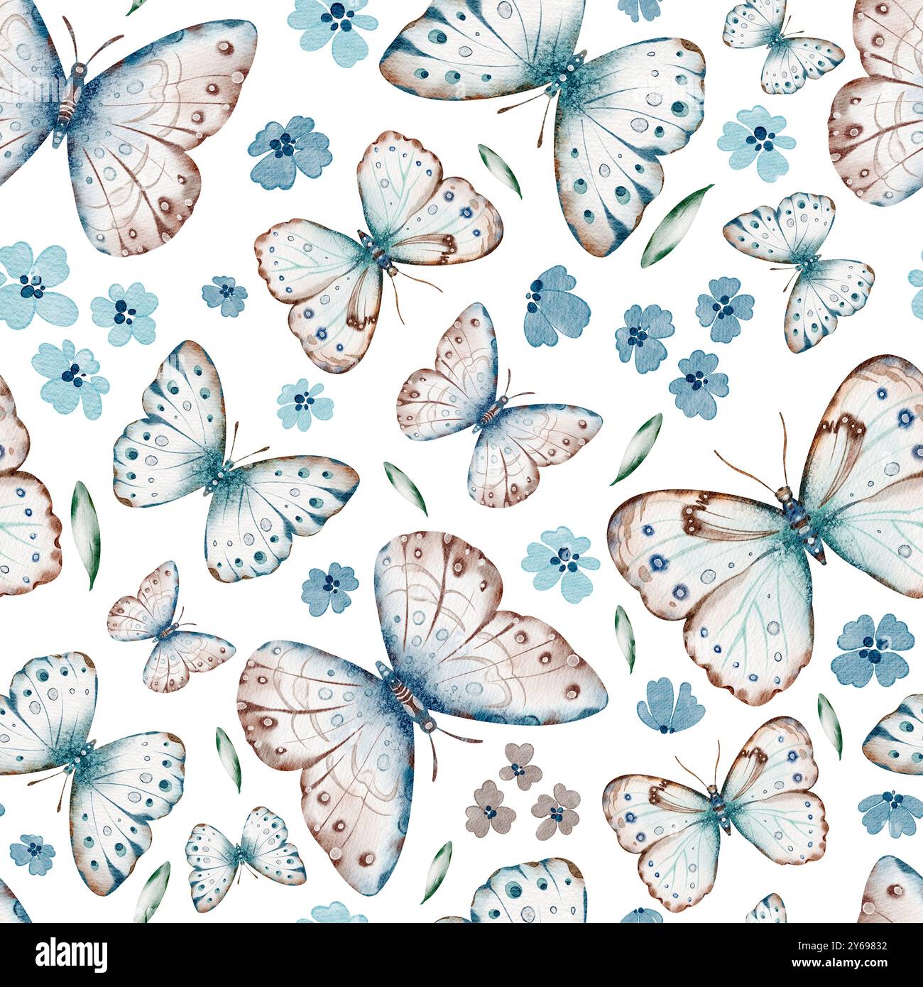 Motif sans couture polyphémusand papillon. Illustration aquarelle d'insecte avec ailes bleu clair et petites fleurs, ornement mignon Banque D'Images