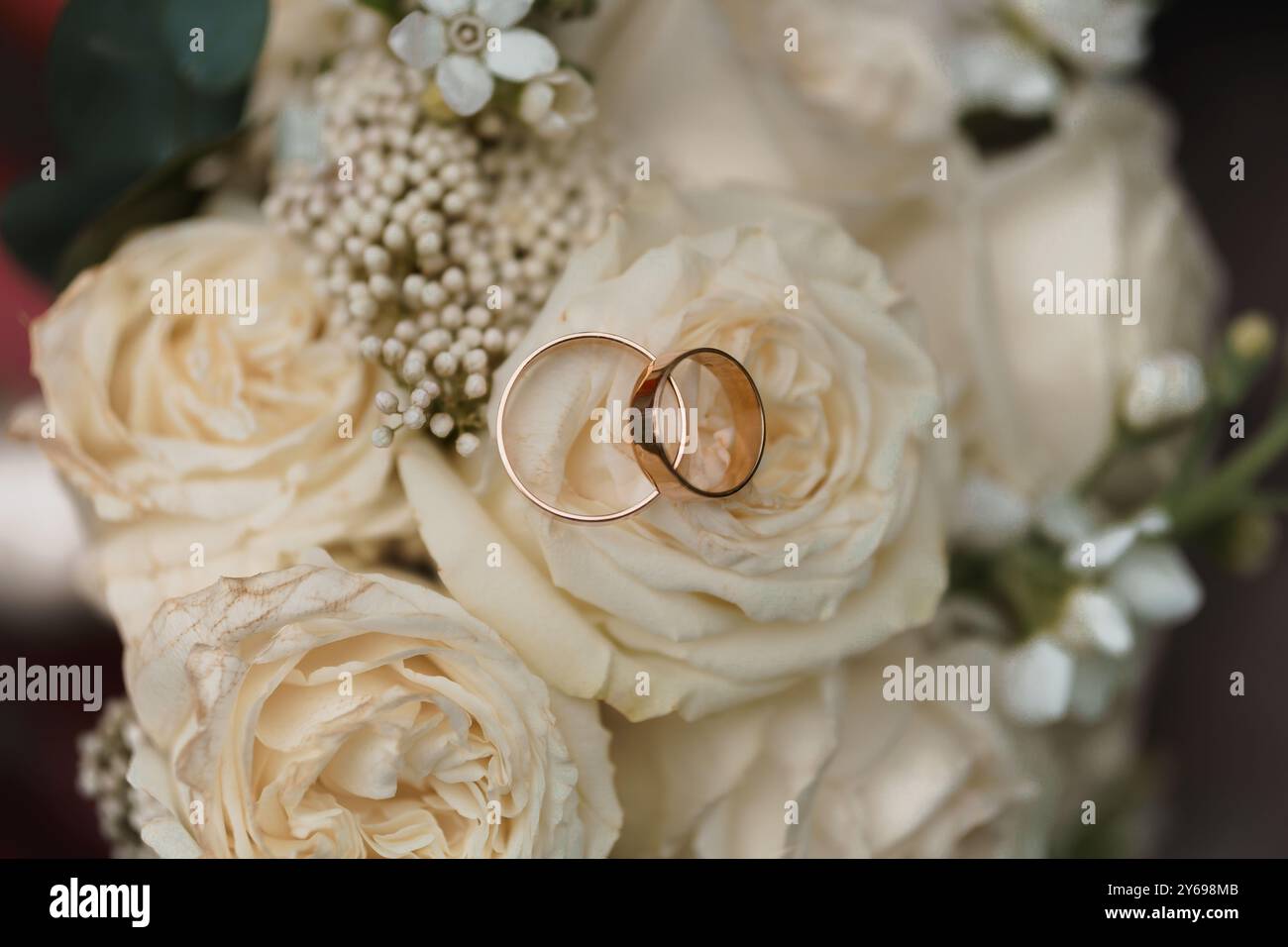 Anneaux de mariage élégants et romantiques nichés parmi de belles roses crème. Banque D'Images