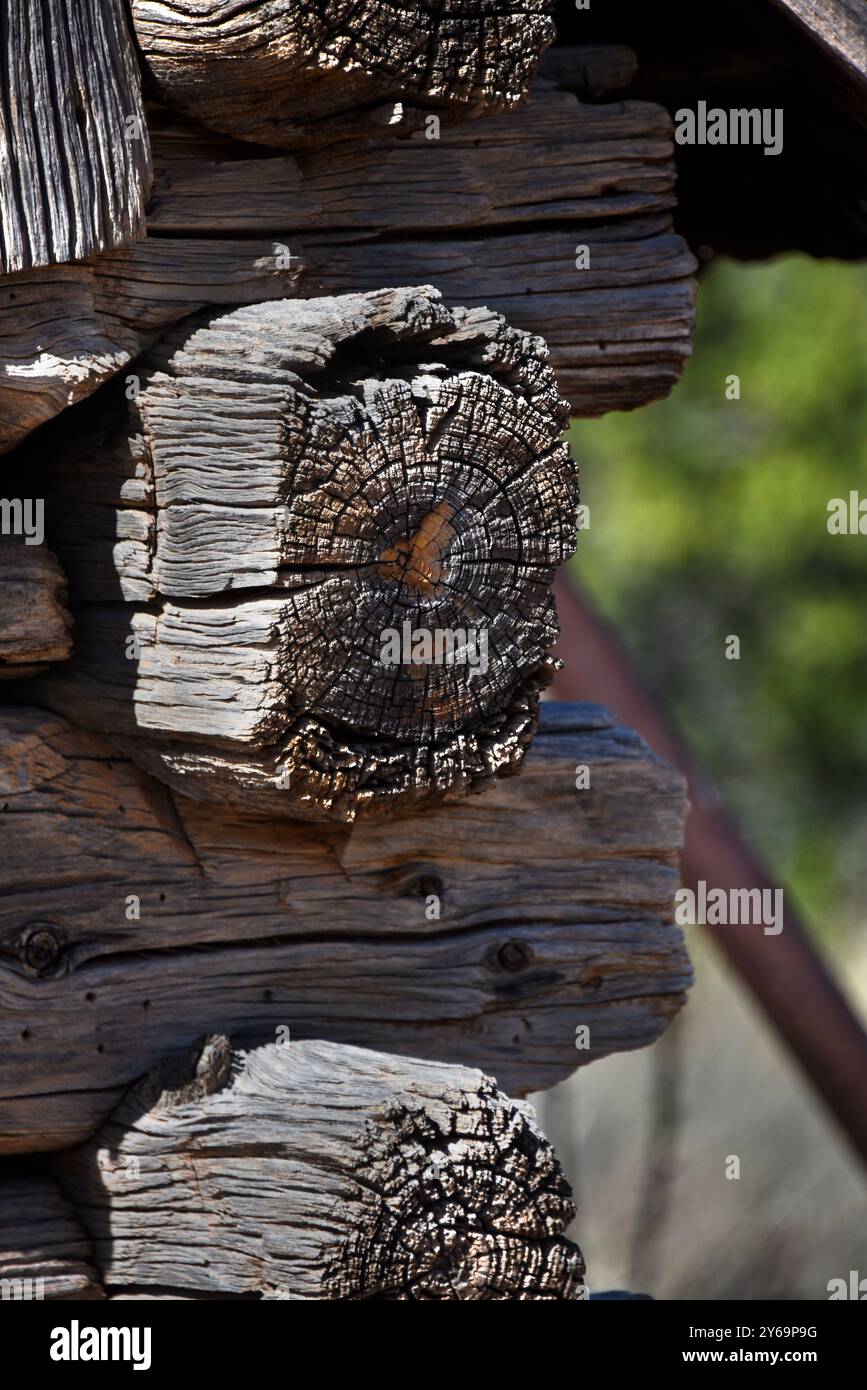 Les extrémités des bois utilisés pour la construction d'une ancienne grange en rondins, au Nouveau-Mexique, sont fissurées et sèches avec l'âge. Banque D'Images