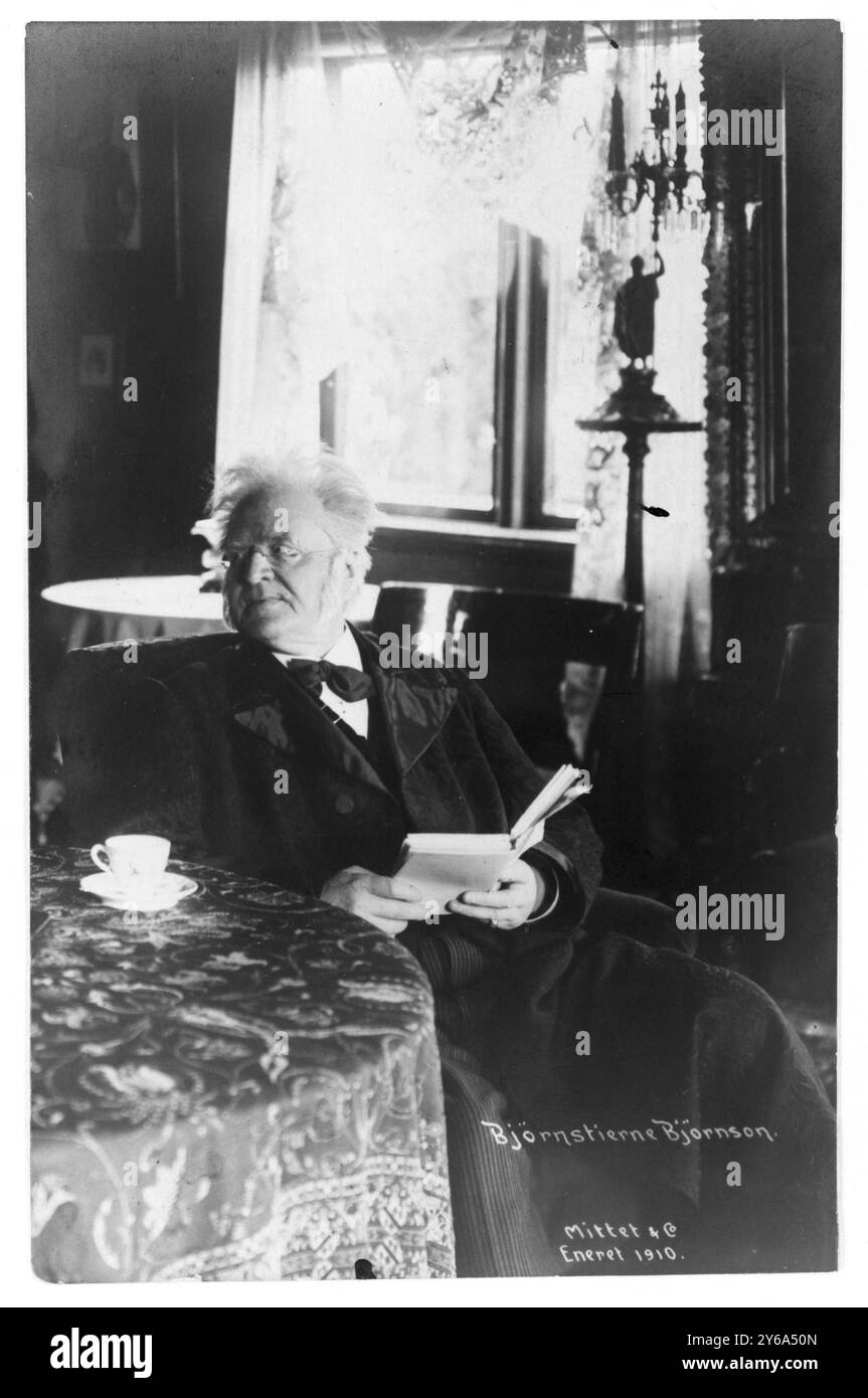 Björnstierne Björnson / Mittet & Co, Björnstjerne Björnson, portrait de trois-quarts, assis, tourné vers la gauche., Eneret 1910., Björnson, Björnstjerne, 1832-1910, tirages photographiques, 1910., Portrait Photographs, 1910., Portrait Photographs, 1910, tirages photographiques, 1910, George Grantham ., 1 tirage photographique. Banque D'Images
