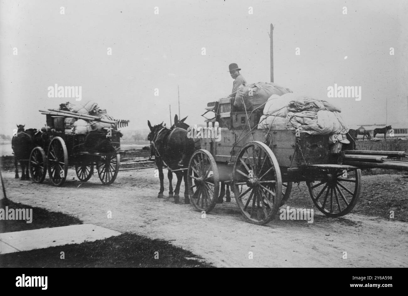 Chariots tirés par des chevaux du train de l'hôpital de campagne, armée américaine, négatifs en verre, 1 négatif : verre ; 5 x 7 po. ou plus petit. Banque D'Images