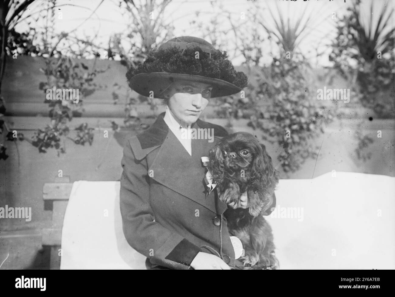 Miss F.S. Sternberg 'King Charles produit Anthony Sun Spot' (chien), négatifs en verre, 1 négatif : verre ; 5 x 7 po. ou plus petit. Banque D'Images