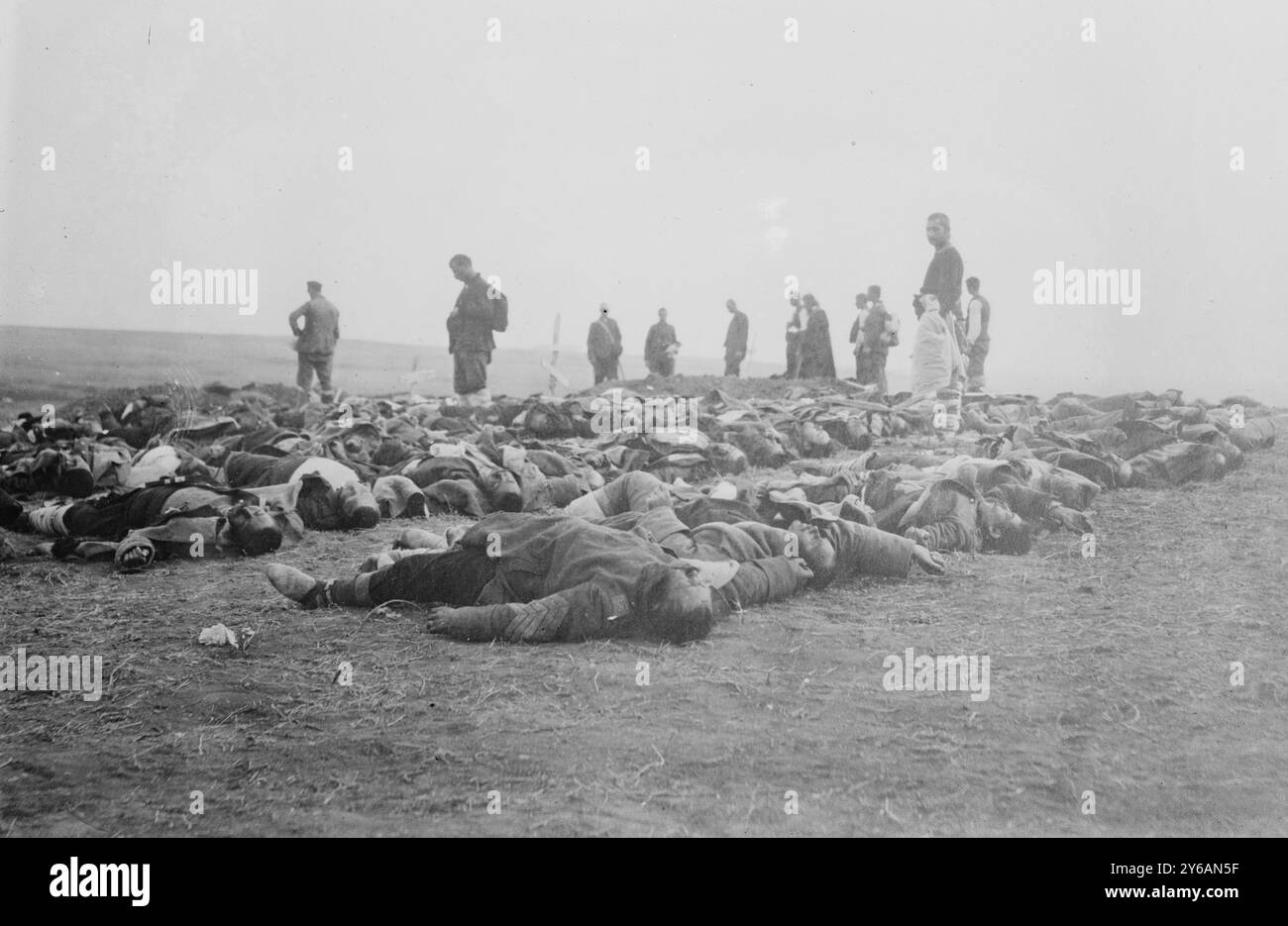Bulgare morte, négatifs en verre, 1 négatif : verre ; 5 x 7 po. ou plus petit. Banque D'Images Bulgare morte, négatifs en verre, 1 négatif : verre ; 5 x 7 po. ou plus petit. Banque D'Images