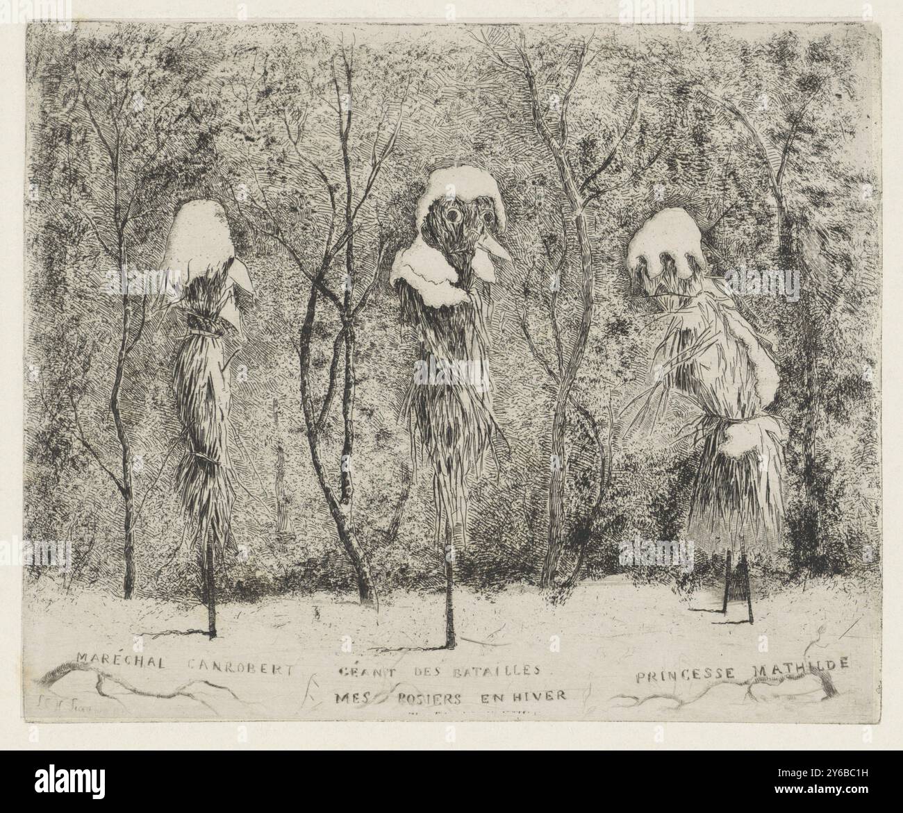 Composition fantastique sur la guerre franco-allemande, mes rosiers en hiver (titre sur objet), trois roses standard enveloppées de paille contre le gel, couvertes de neige. Les légendes identifient les rosiers avec des figures de la guerre franco-prussienne : François certain Canrobert et Mathilde Bonaparte., estampe, imprimeur : Louis Charles Hora Siccama, (mentionné sur l'objet), 1876, papier, gravure, pointe sèche, hauteur, 147 mm × largeur, 180 mm Banque D'Images