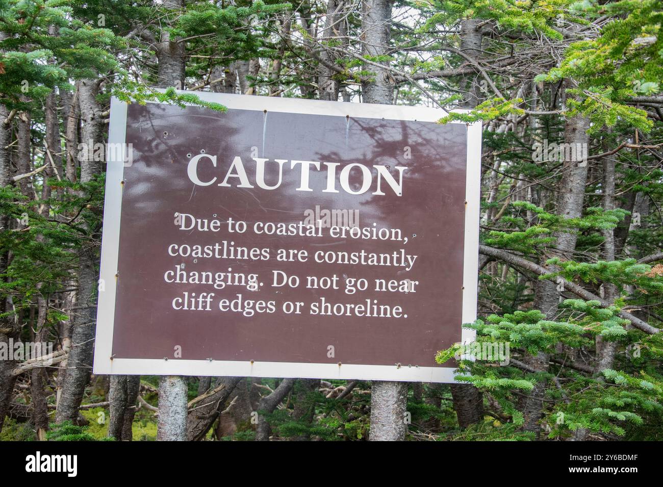 Signe d'avertissement d'érosion côtière près des bords de falaise affiché sur deux arbres sur le sentier au phare de Ferryland, Terre-Neuve-et-Labrador, Canada Banque D'Images