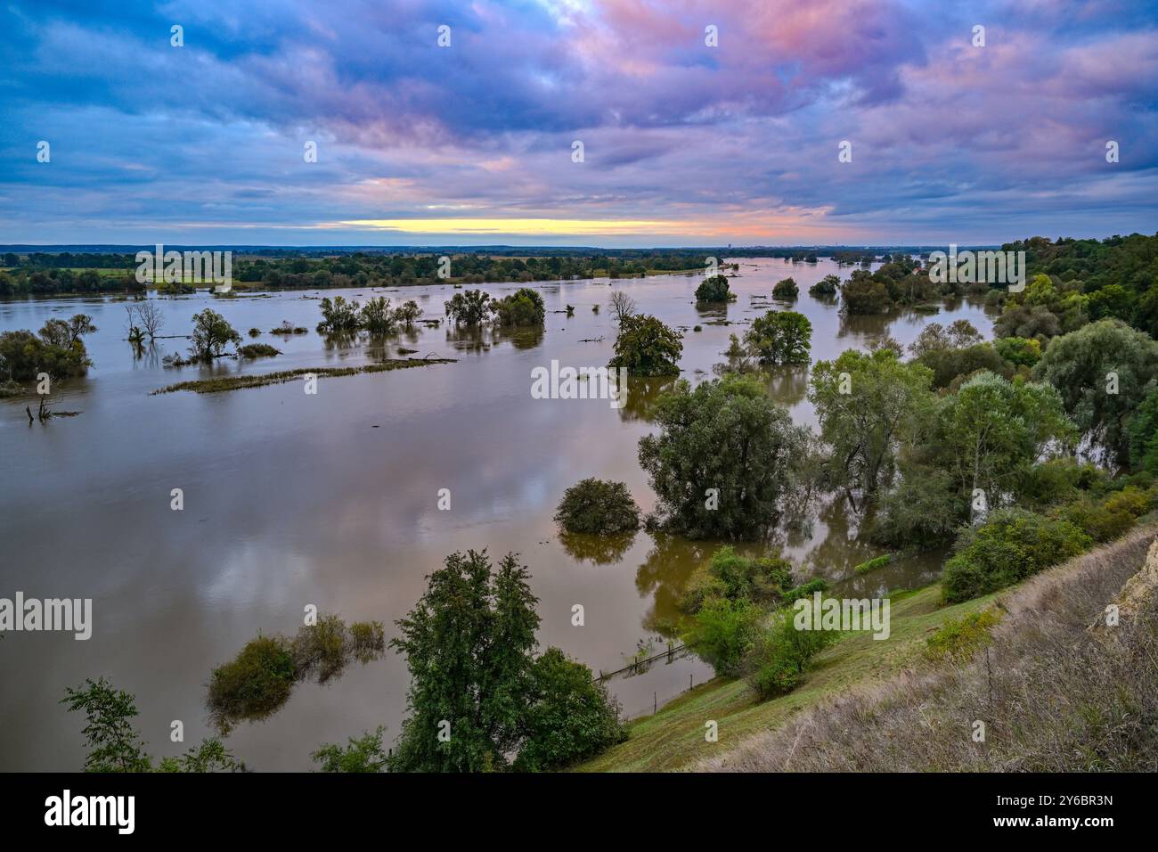 Lebus, Allemagne. 25 septembre 2024. Les inondations de l'Oder ont déjà inondé de grandes parties de l'avant-pays de l'Oder, comme ici au nord de Francfort (Oder) près de la ville de Lebus, jusqu'à la digue. Sacs de sable, glissières de digue et murs de protection - des dommages importants doivent être évités dans les zones inondables de l'est du Brandebourg. Crédit : Patrick Pleul/dpa/Alamy Live News Banque D'Images