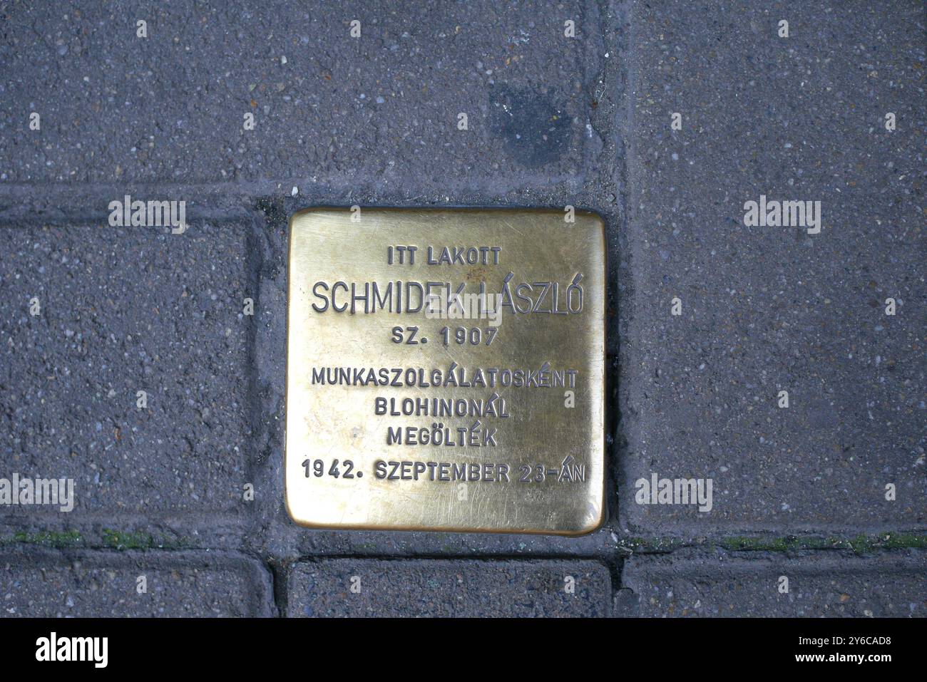 Stolpersteine (pierres d'achoppement, botlatókő) à Laszlo Schmidek, un Juif tué dans l'Holocauste, Dohany utca 30b, Budapest, Hongrie Banque D'Images