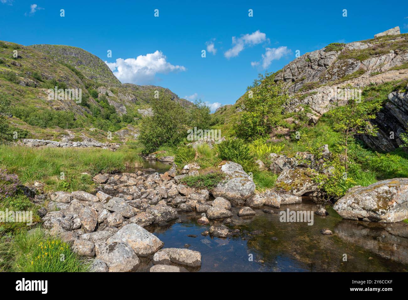 Image de paysage avec le ruisseau de montagne Studalselva près de Munkebu-stig, Sorvagen, Lofoten, Norvège, Europe Banque D'Images