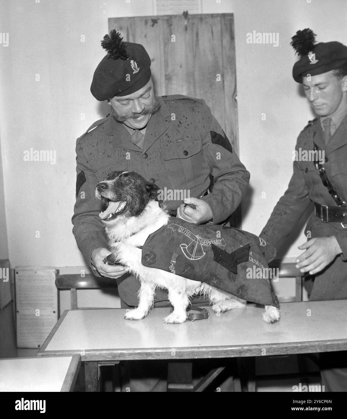 ARMÉE BRITANNIQUE DANNY MCWILLIAMS CPL AVEC UN CHIEN MASCOTTE À HACKBRIDGE, SURREY ; 6 NOVEMBRE 1963 Banque D'Images