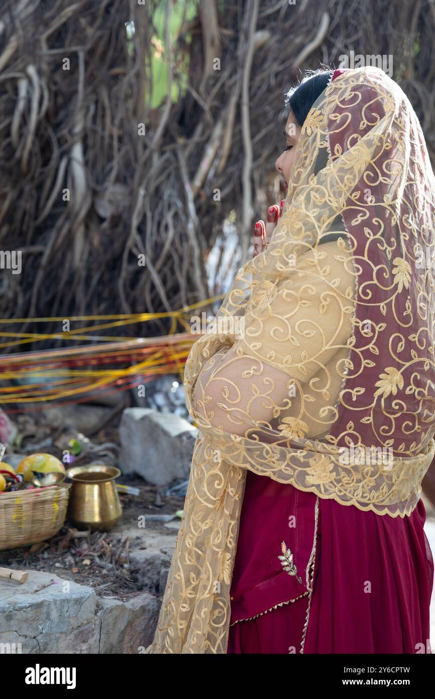 Dévot adorant le Saint arbre banyan avec des offrandes à la journée à l'occasion du festival de culte de l'arbre banyan, (Vat Savitri Puja) Inde. Banque D'Images