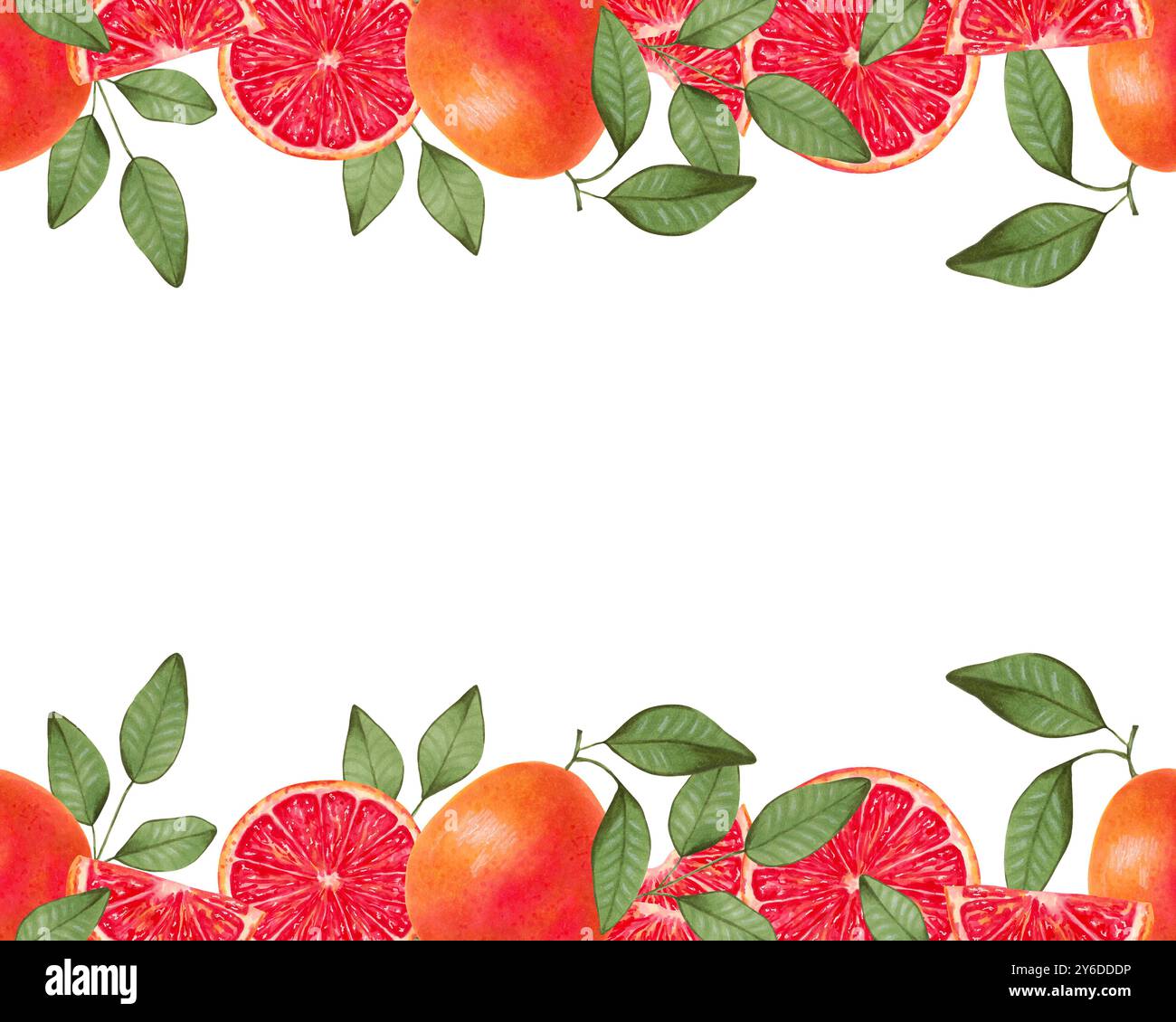 Cadre horizontal pour pamplemousse. Fruits entiers et morceaux de fruits avec feuilles. Illustration aquarelle et marqueur. Agrumes nourriture saine pour végétaliens. Sans couture Banque D'Images
