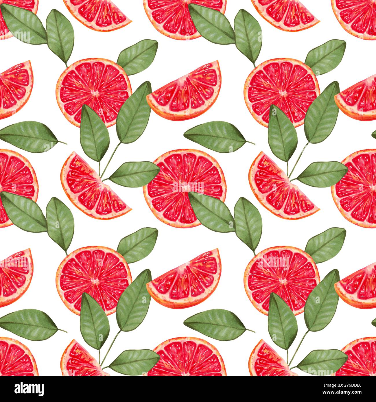 Fond sans couture de tranches de pamplemousse avec des feuilles. Aquarelle, illustration de marqueur. Morceaux d'agrumes rouges. Dessiné à la main isolé Papier peint Eco fruit Banque D'Images