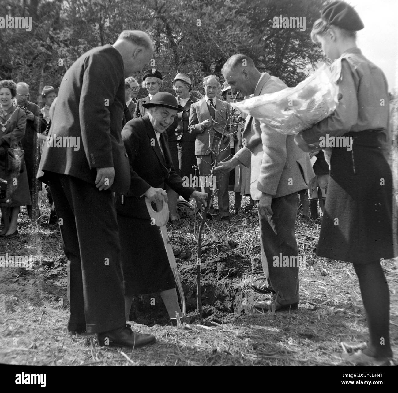 OLAVE, LADY BADEN POWELL PLANTE UN MÛRIER POUR MARQUER LES OUVERTURES OFFICIELLES DE L'ÎLE BROWNSEA ; 21 MAI 1963 Banque D'Images